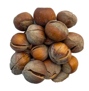 تصویر 4 از قیمت فندق بو داده + خرید باور نکردنی